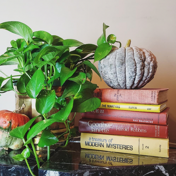 How to Use Books to Create Spooky Halloween Decorations