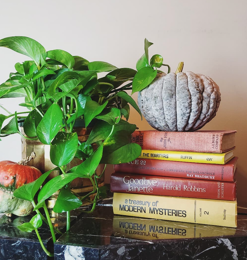 How to Use Books to Create Spooky Halloween Decorations