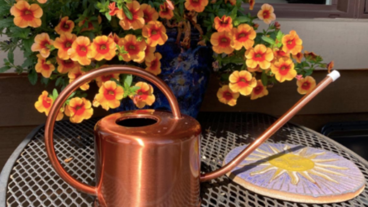 34 Amazon Buys That Are So Practical You'll Probably End Up Buying One For You And One For Your Mom