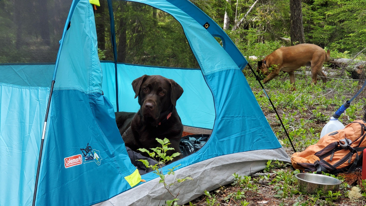 35 Summer Gadgets That Will Spoil You Endlessly