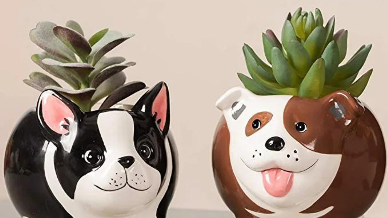 The Top 100 Best Selling Products of 2022 That You Won't Want To Miss