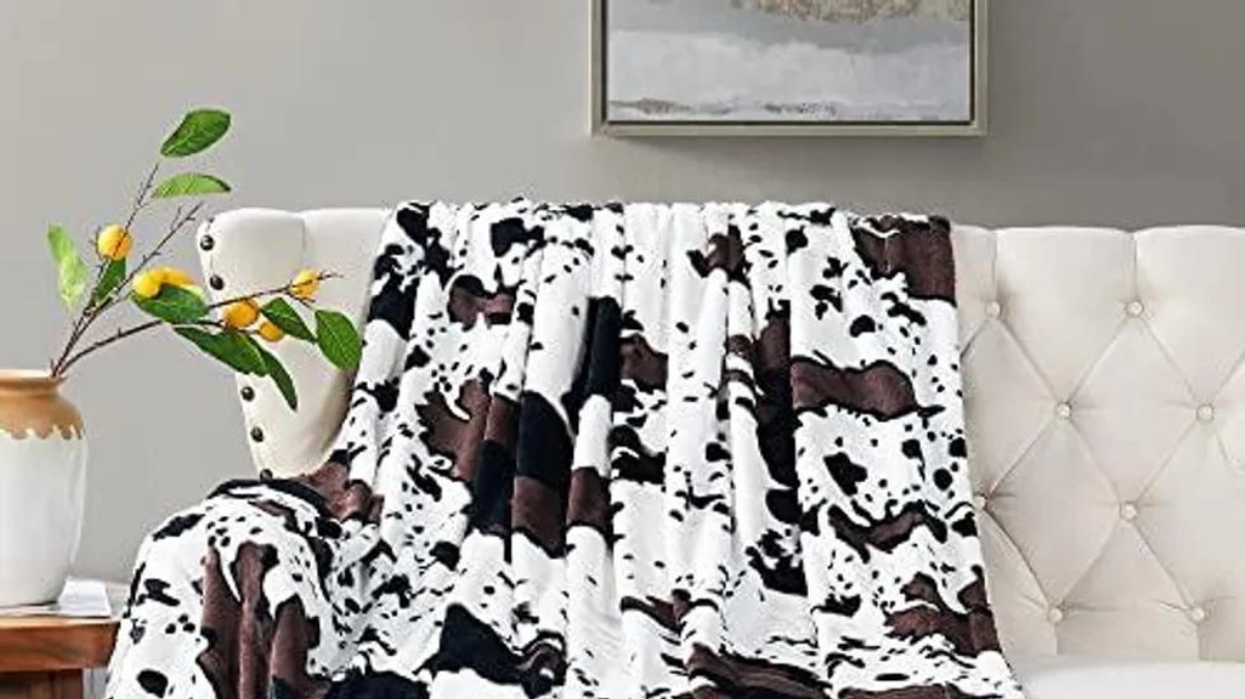 Discover the Best of the Best: These 38 Products Have Reviewers Raving and You'll Understand Why