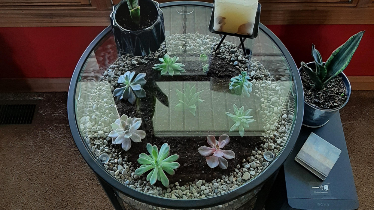 The Hottest Products You Missed Out On During Your Shopping Hiatus In January