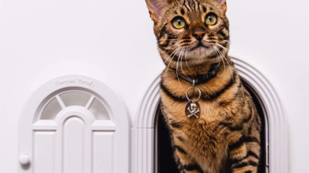 Join The TikTok Hype With These Recommended Products