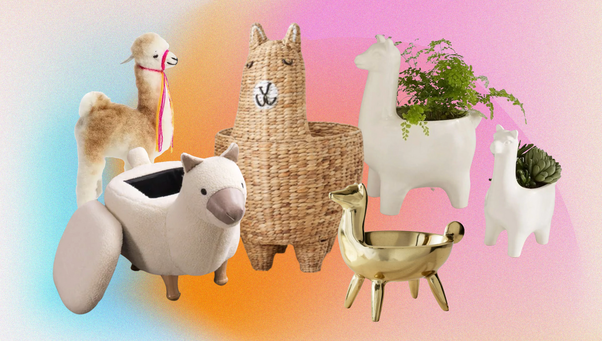10 Llama-zing Gifts for Anyone Who Loves Llamas