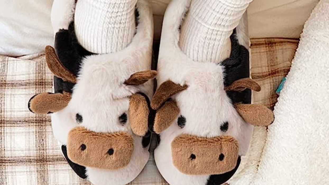 These Are the Cutest Things You Can Get On Amazon Today