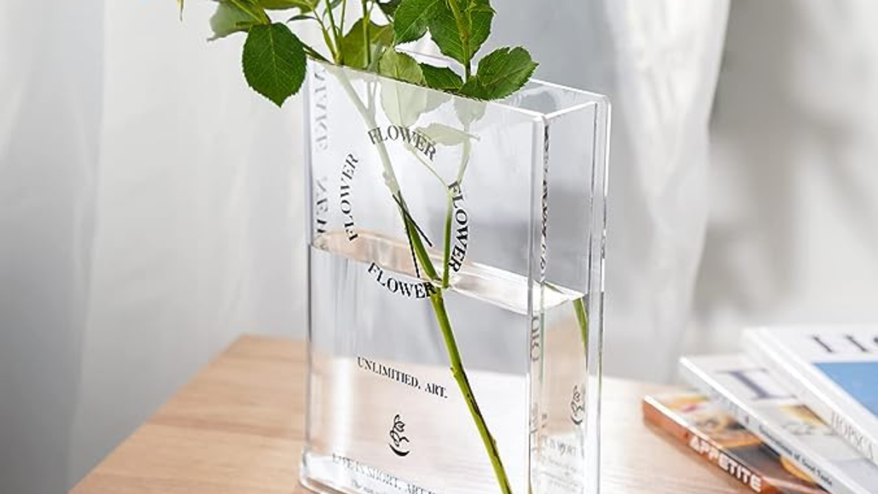 Bougie Chic on a Dime: 35 Perfect Products for the Budget Enthusiasts