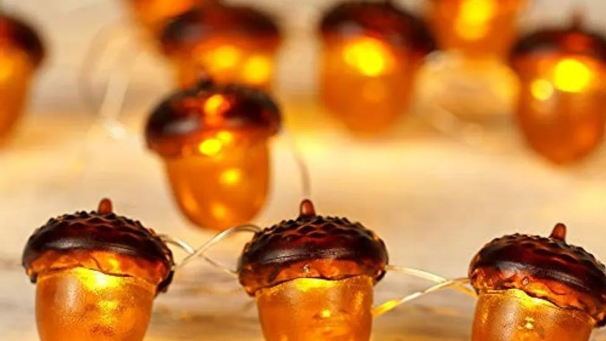 From Pumpkin Spice to Plush Throws: All You Need for a Cozy Fall Season