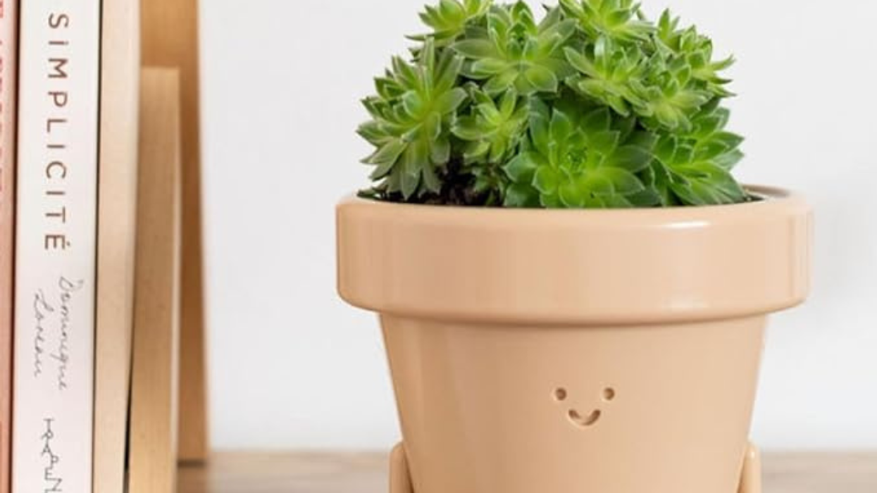 Gifts That Scream ‘I’m the Best Relative’ – Even to In-Laws