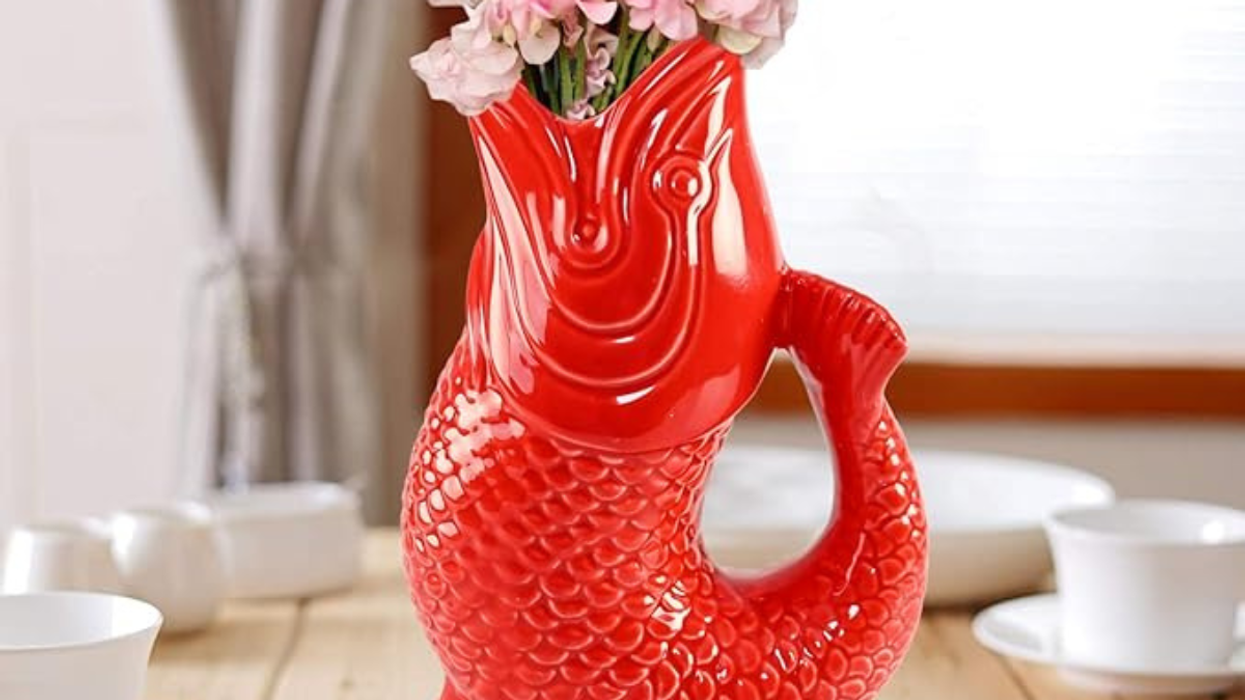 Unwrap Savings: The Best Amazon Gifts Under $50