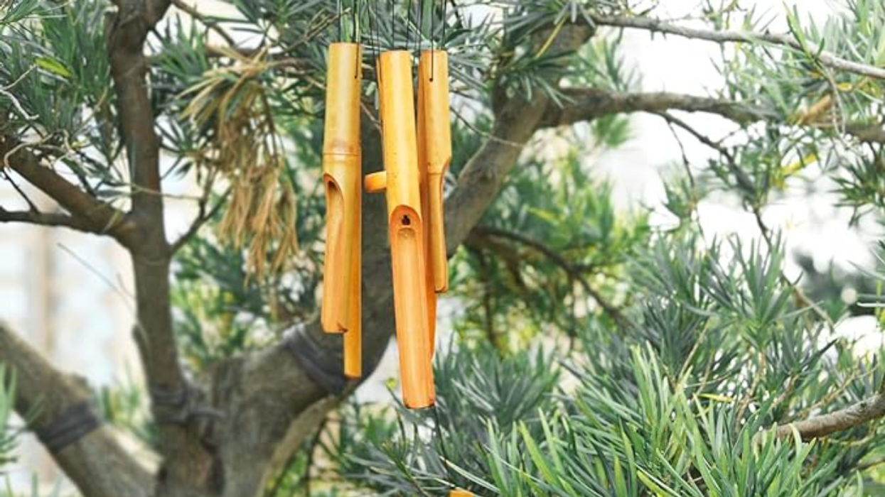 38 Instant Gift Picks for Every Last-Minute Shopper