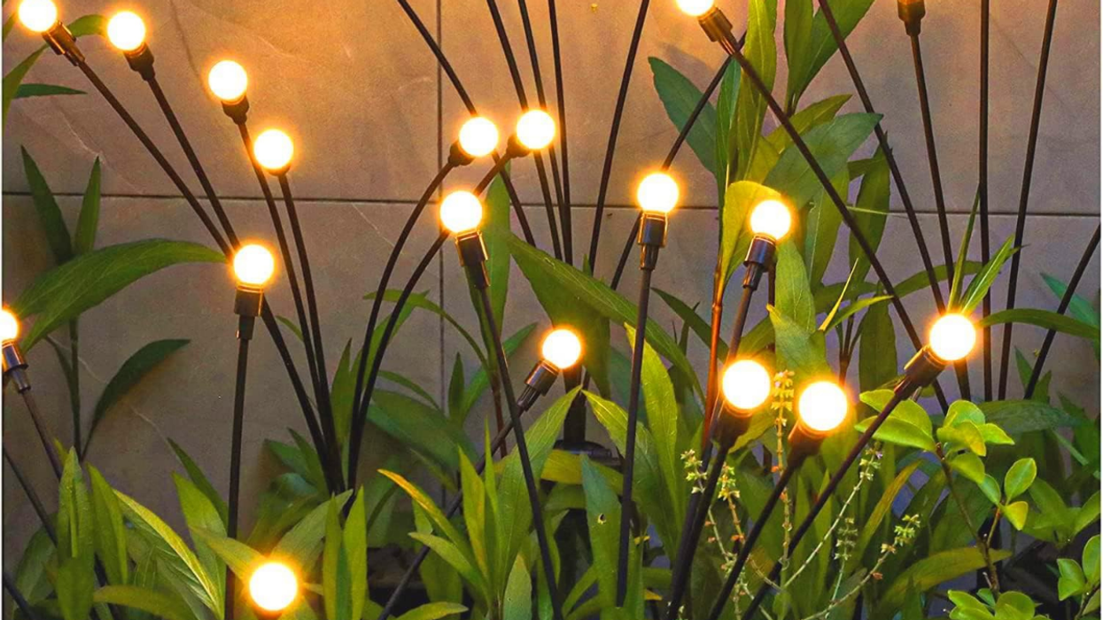 51 Low-Maintenance Backyard Decor Picks That’ll Wow Your Guests