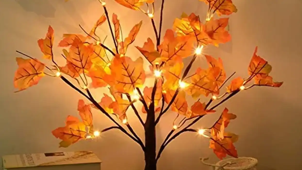 Amazon Products So Swoon-Worthy, They're Almost Bae