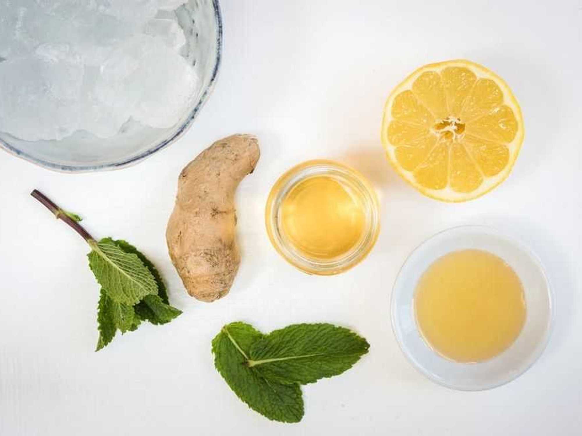 Ingredients for tequila mint julep