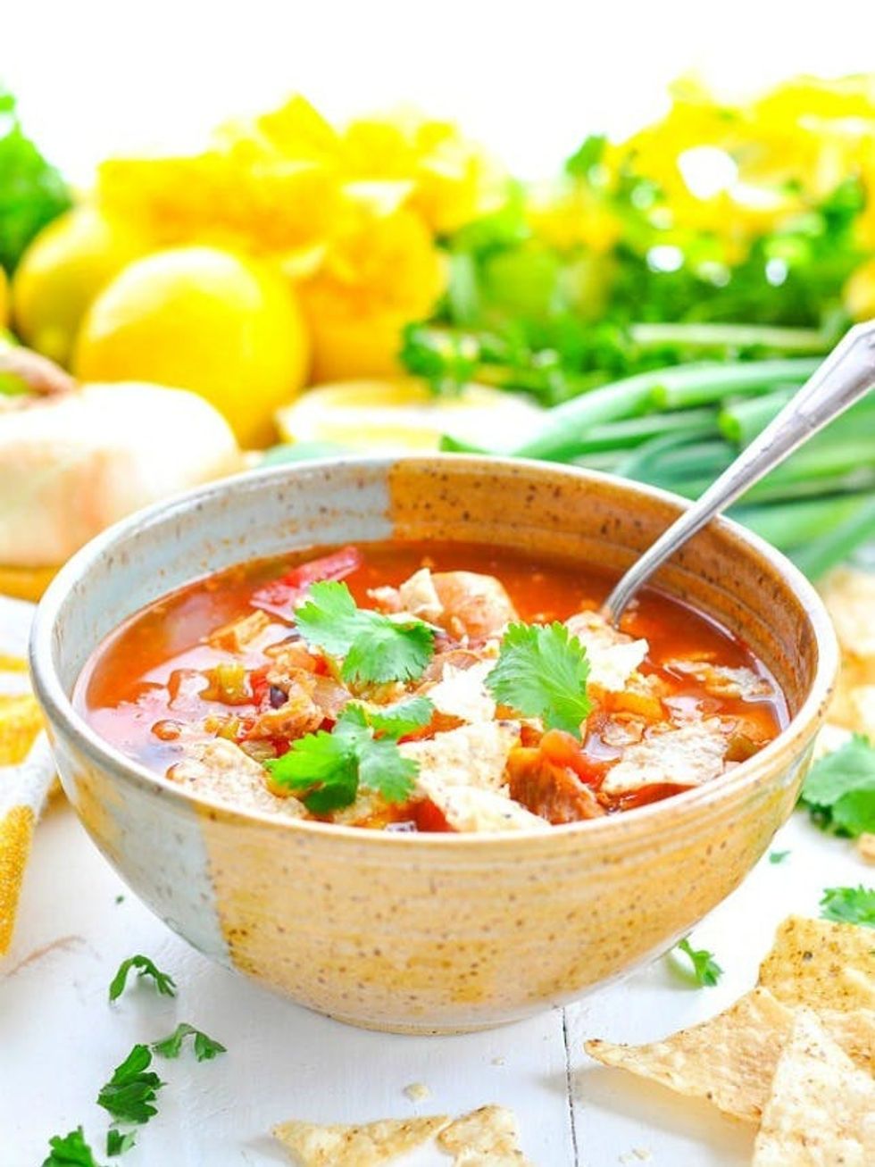 Instant Pot Chicken Tortilla Soup