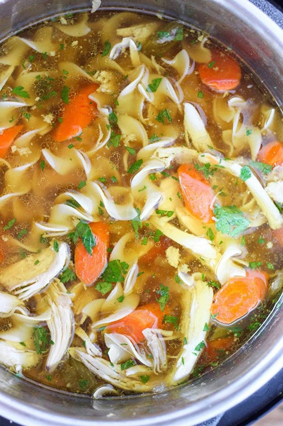 instant-pot-pressure-cooker-chicken-noodle-soup-5
