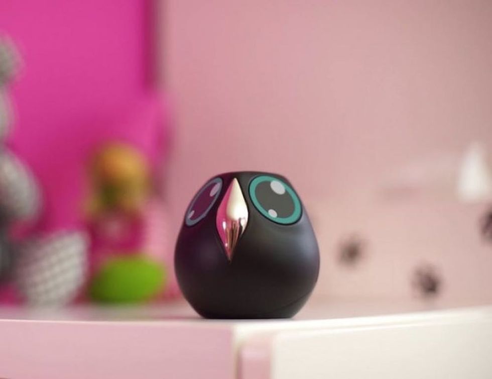 interactive surveillance camera