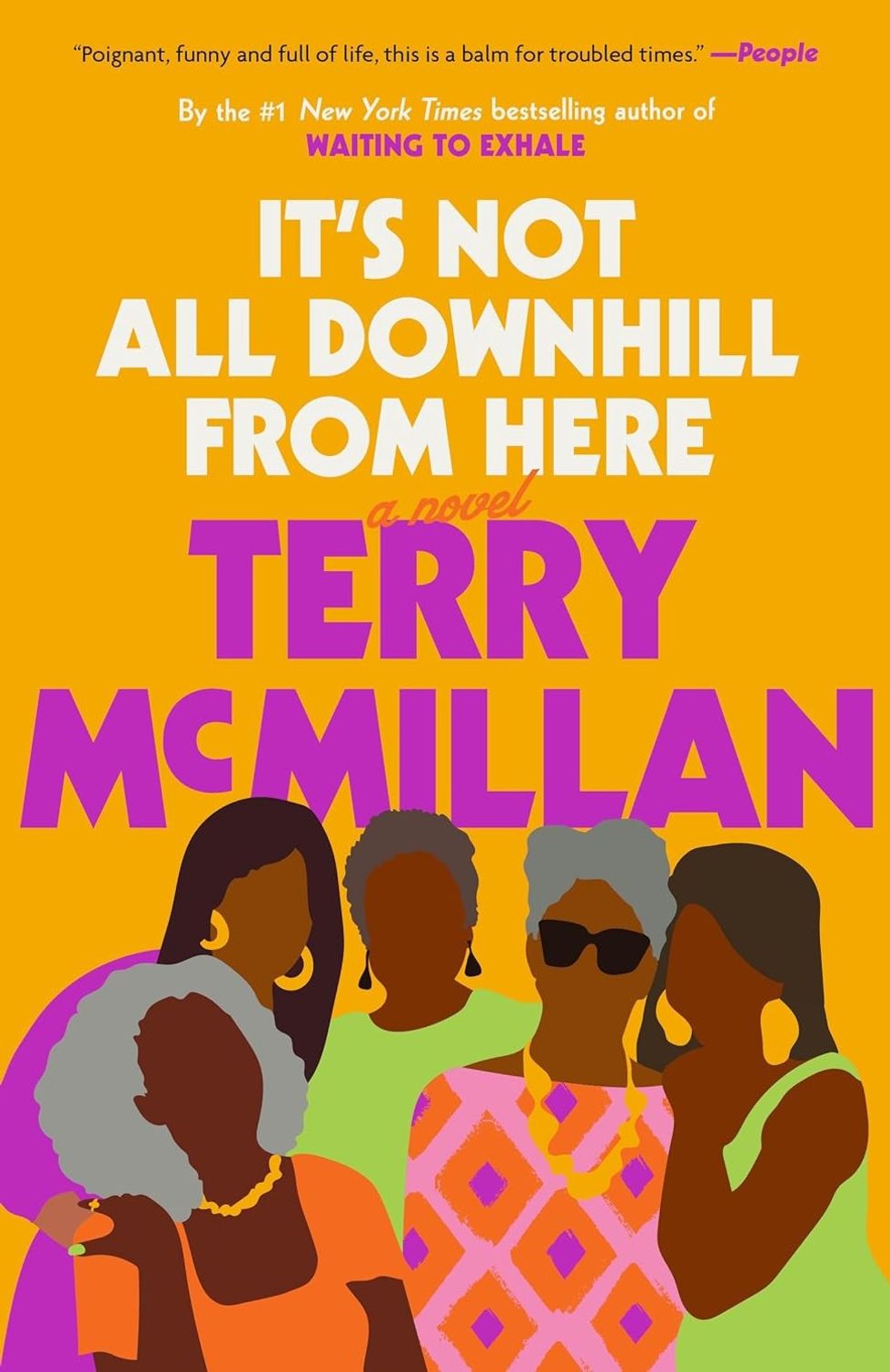 It's Not All Down From Here by Terry McMillan