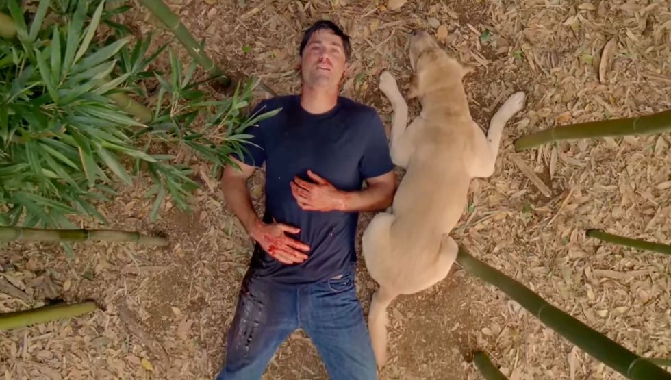 jack and vincent on the island