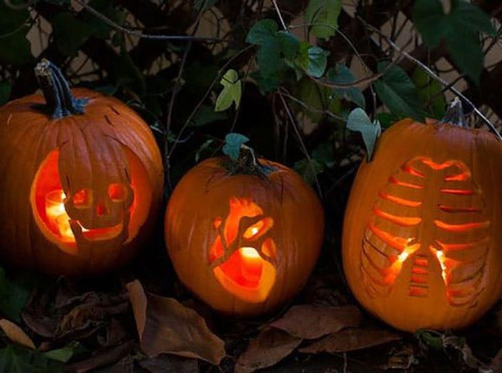 jack o lantern Anatomy Pumpkins