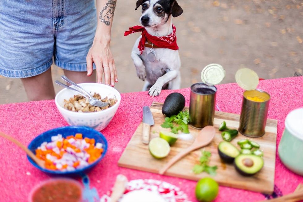 4 Ultimate Camping Recipes You Need to Make! Brit + Co