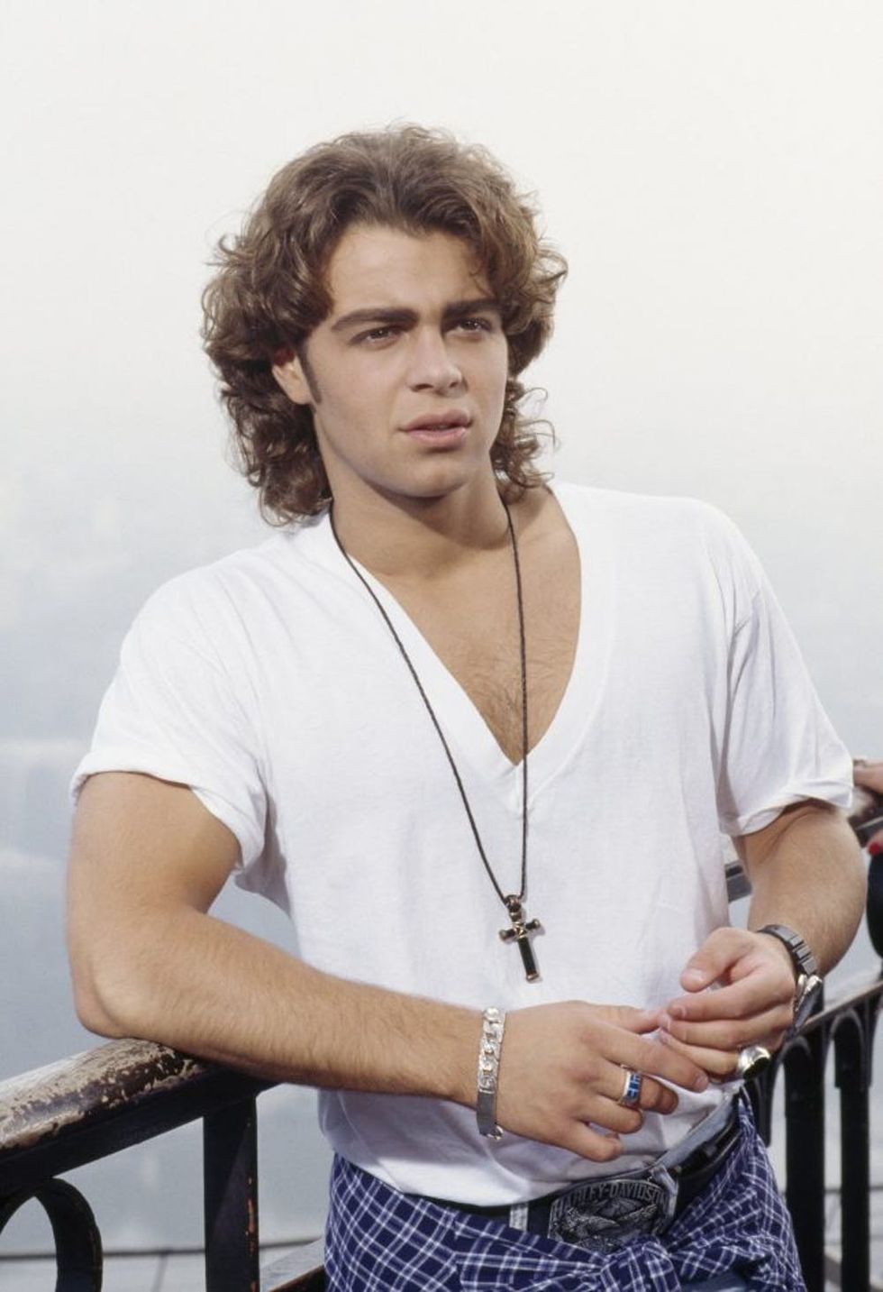 joey lawrence blossom