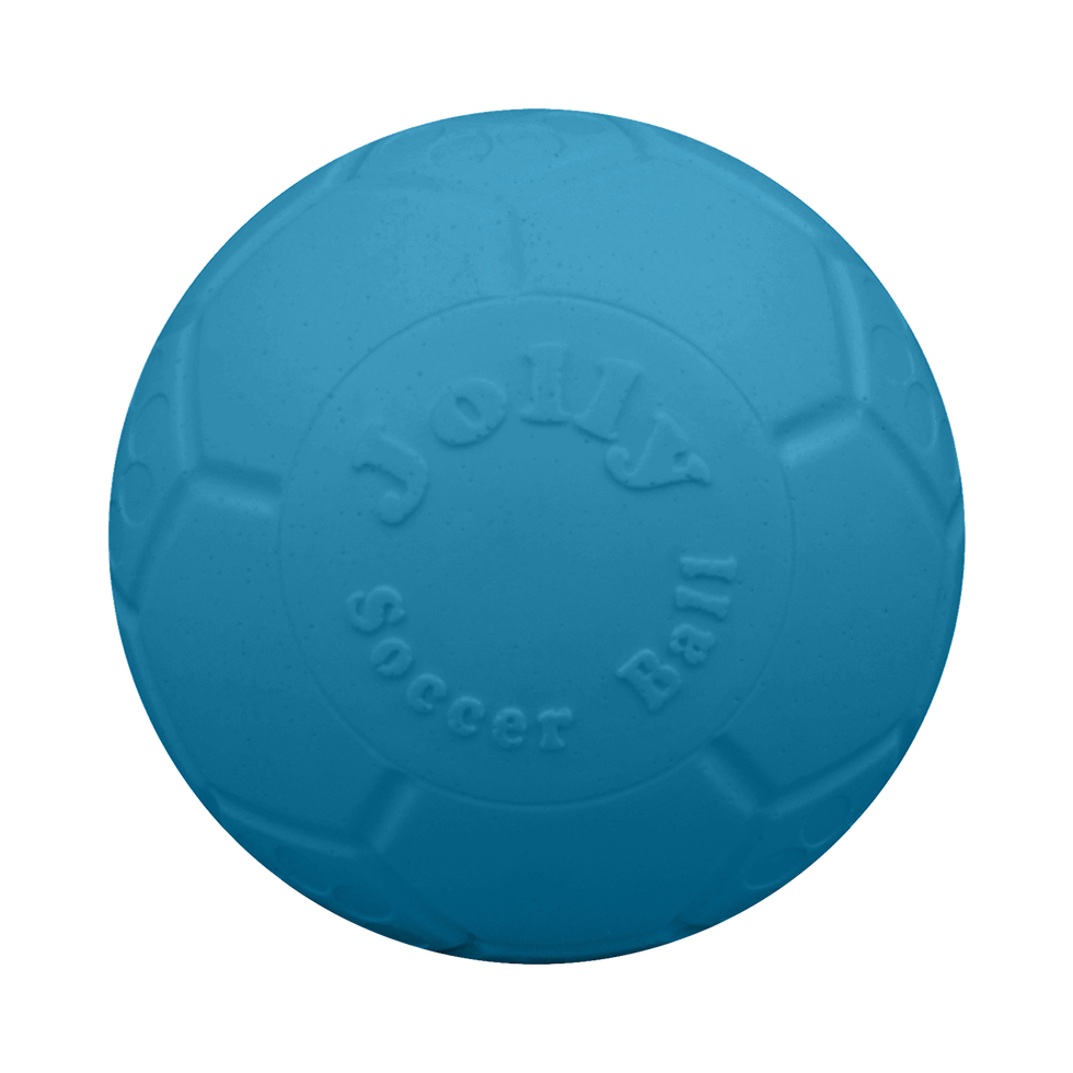 Jolly Pet Soccer Ball Dog Toy