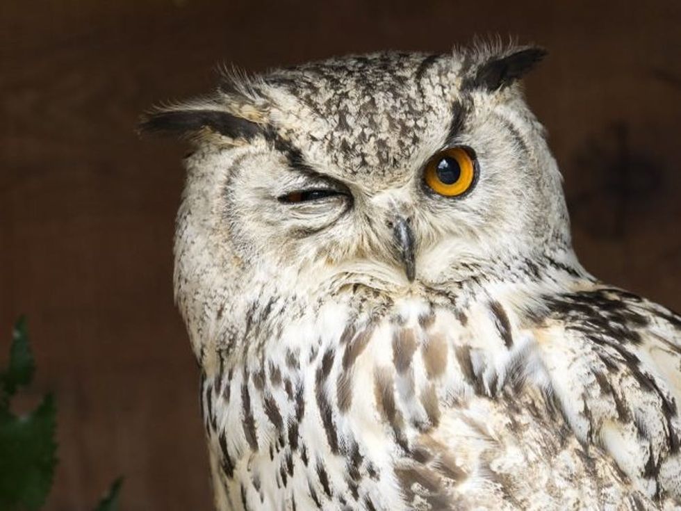 Jose A. Bernat Bacete