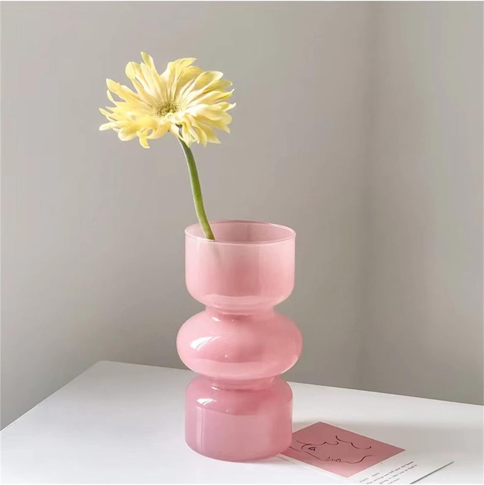 Jspyfits Glass Hydroponic Flower Vase