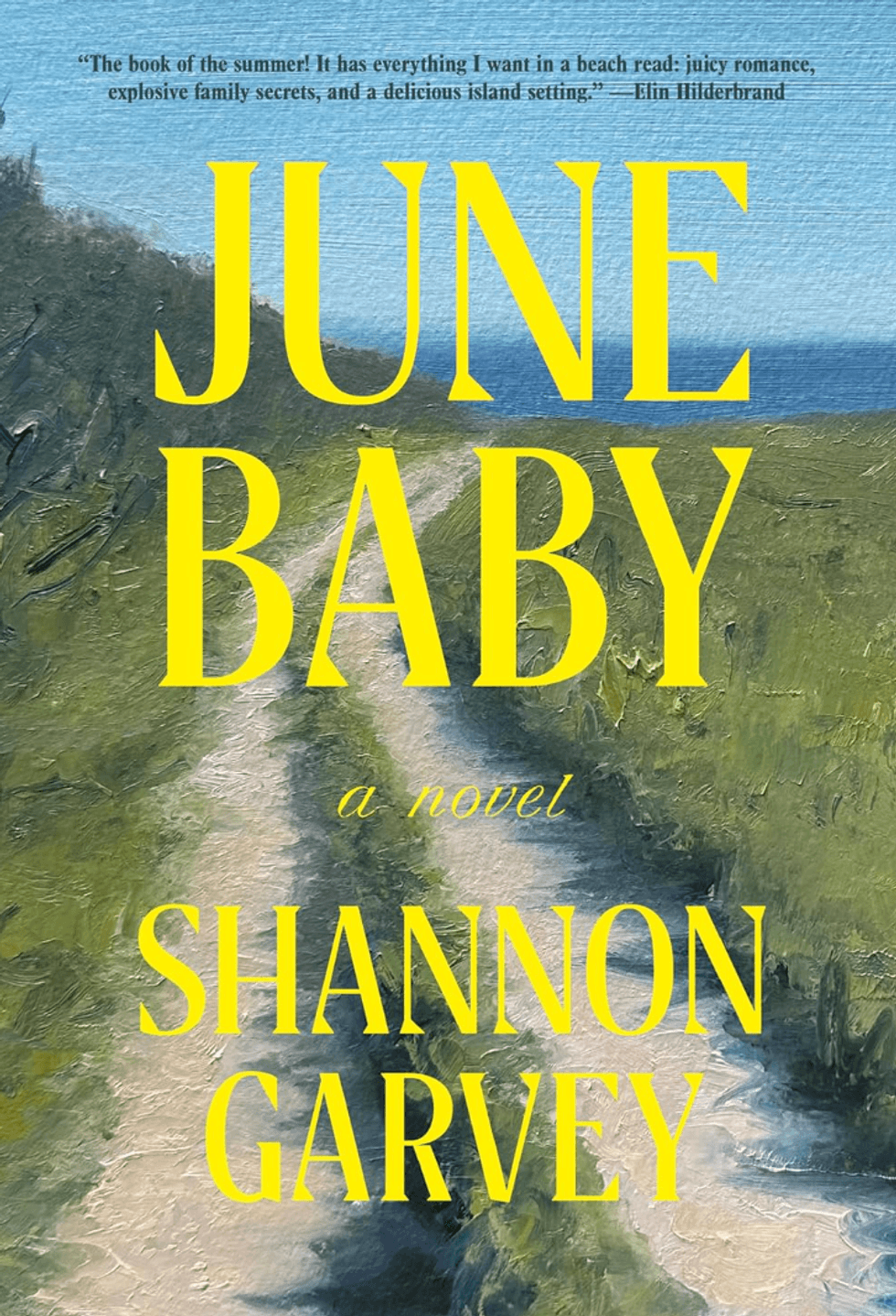 "June Baby" book cover with yellow text on a painted coastal path background.