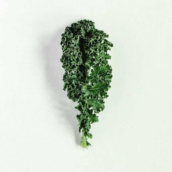 kale against a white background