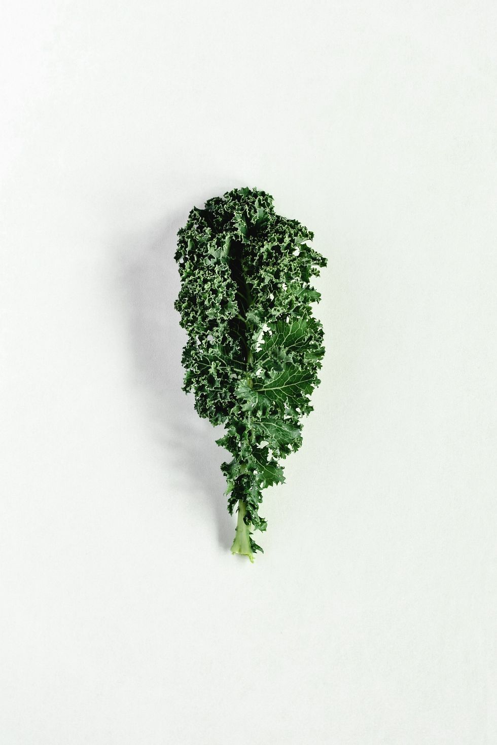 kale leaf