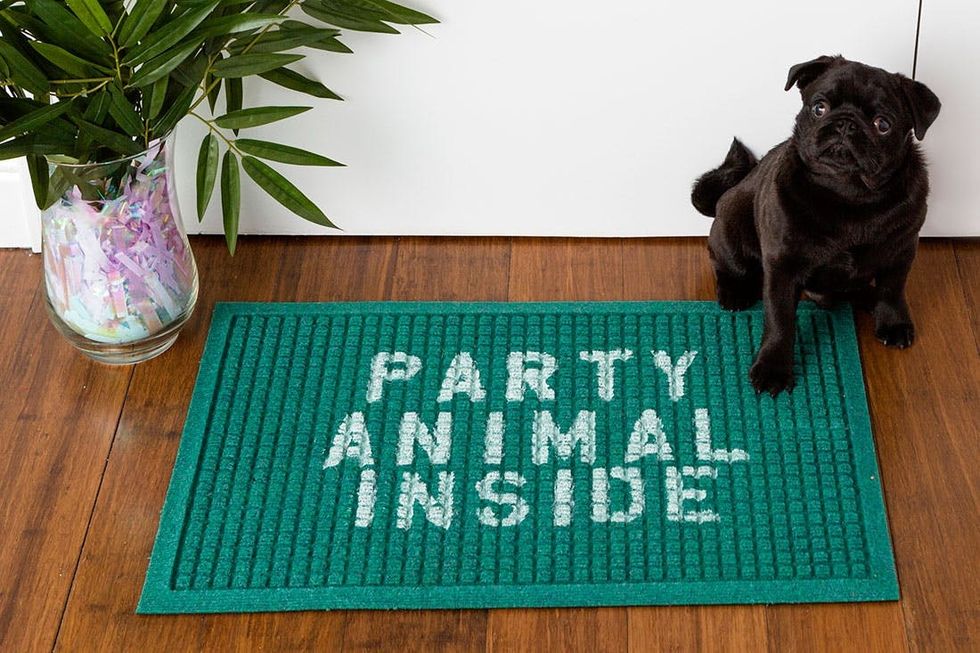 Kelly_DoorMat_Finals_09