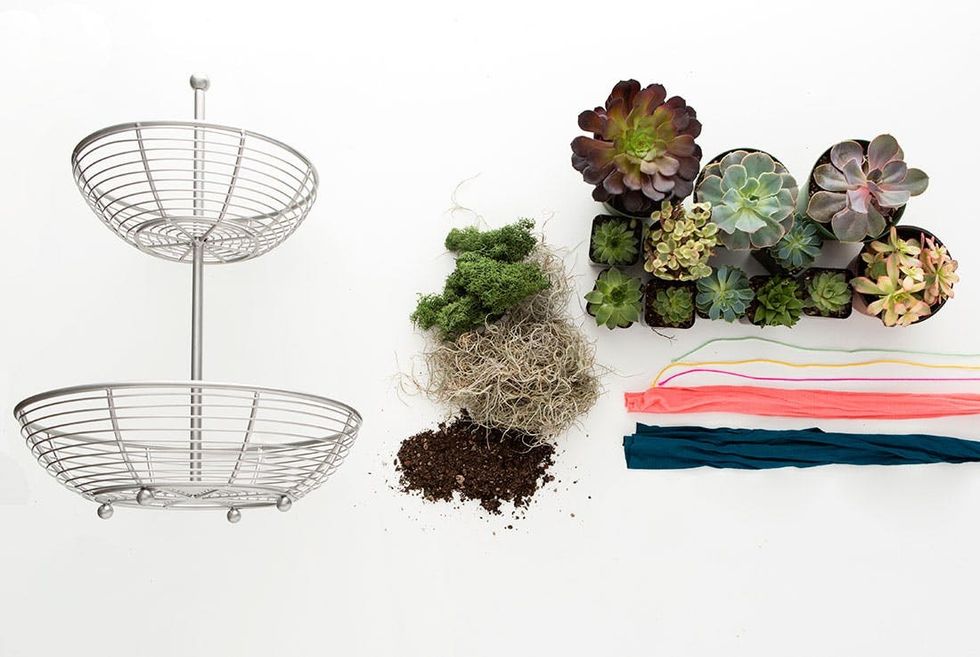 Kelly_Trending_Basket_Garden_01