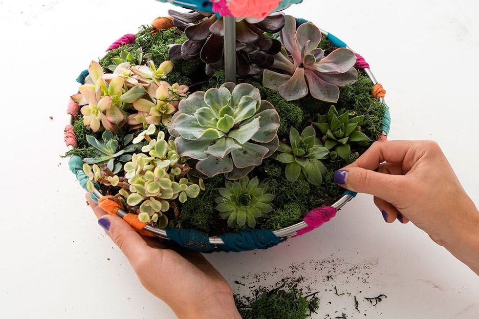 Kelly_Trending_Basket_Garden_10