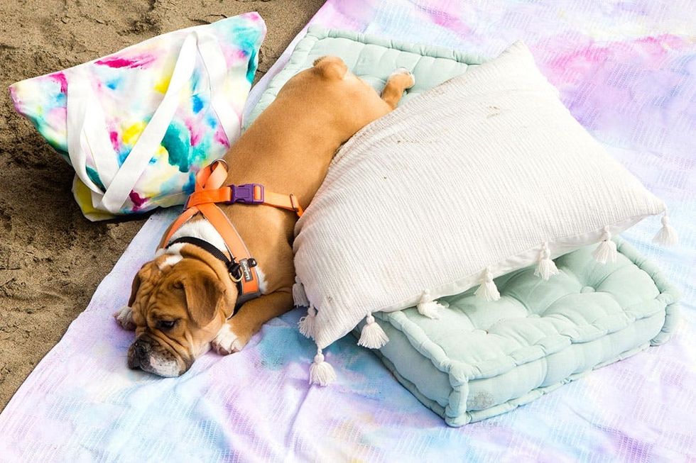 Kelly_Watercolor_Finals_19