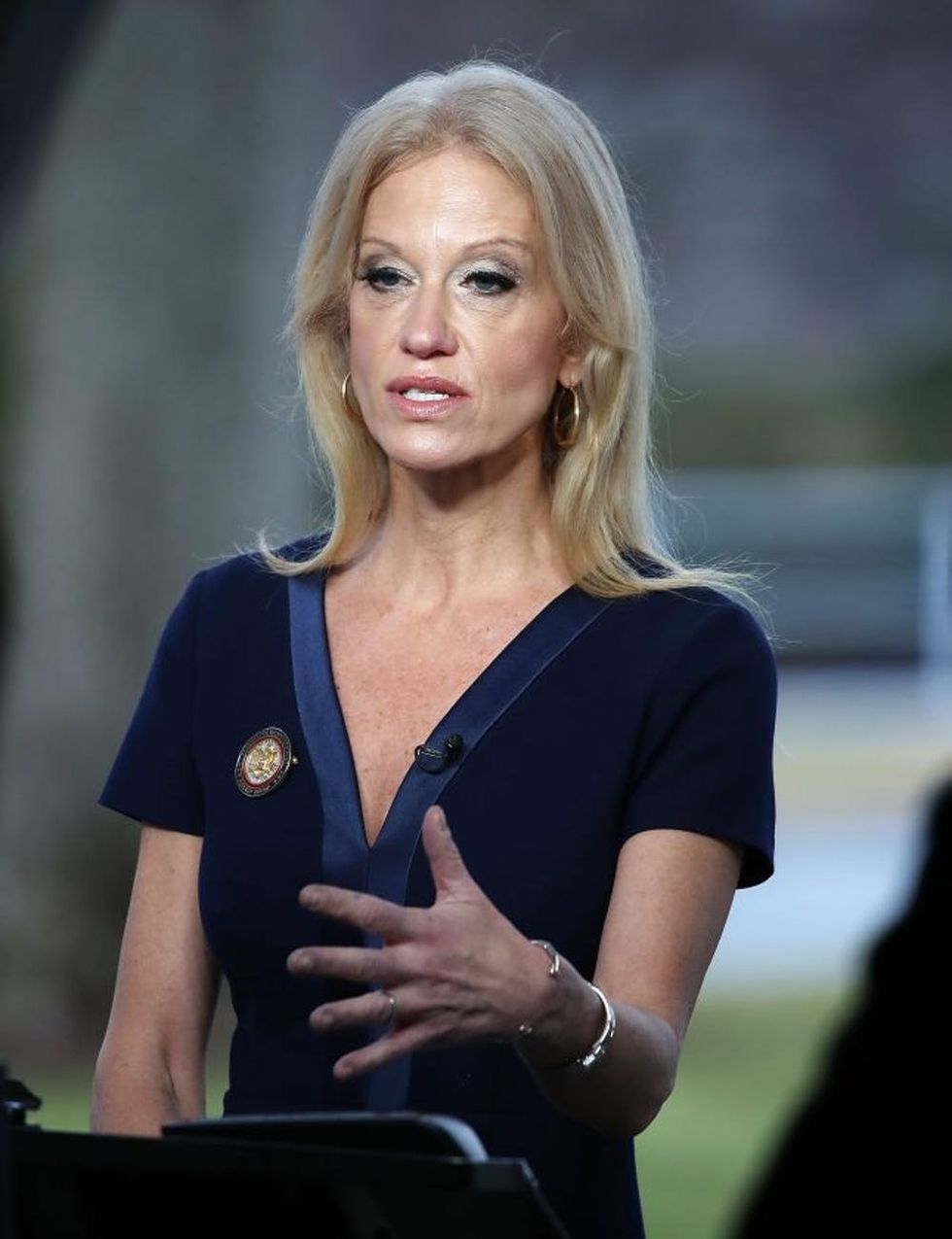 Kellyanne Conway Speaks To Morning Shows From Front Lawn Of White House