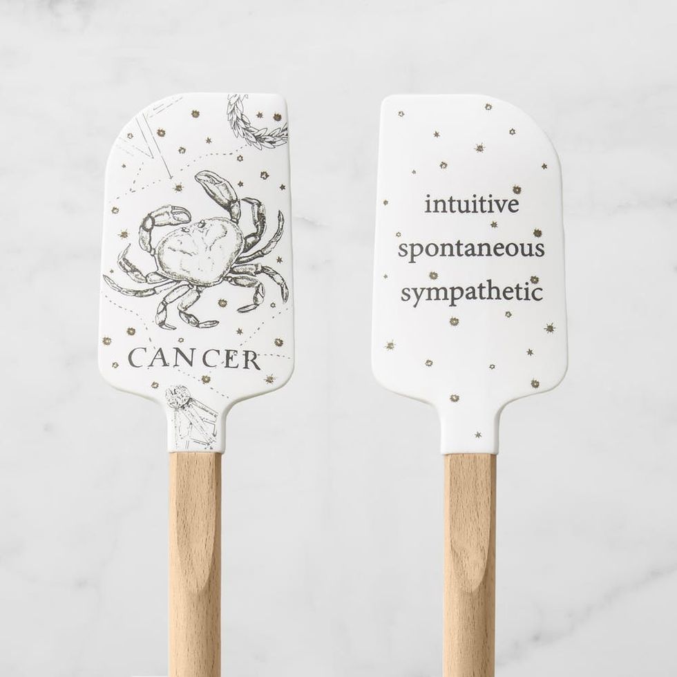 kitchen spatula in zodiac signs