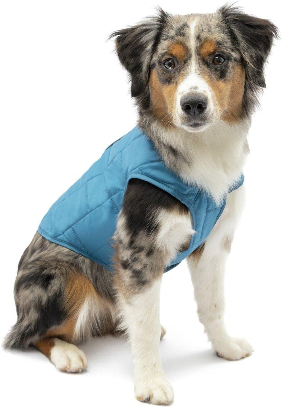 Kurgo Loft Reversible Insulated Dog Quilted Coat dog winter clothes