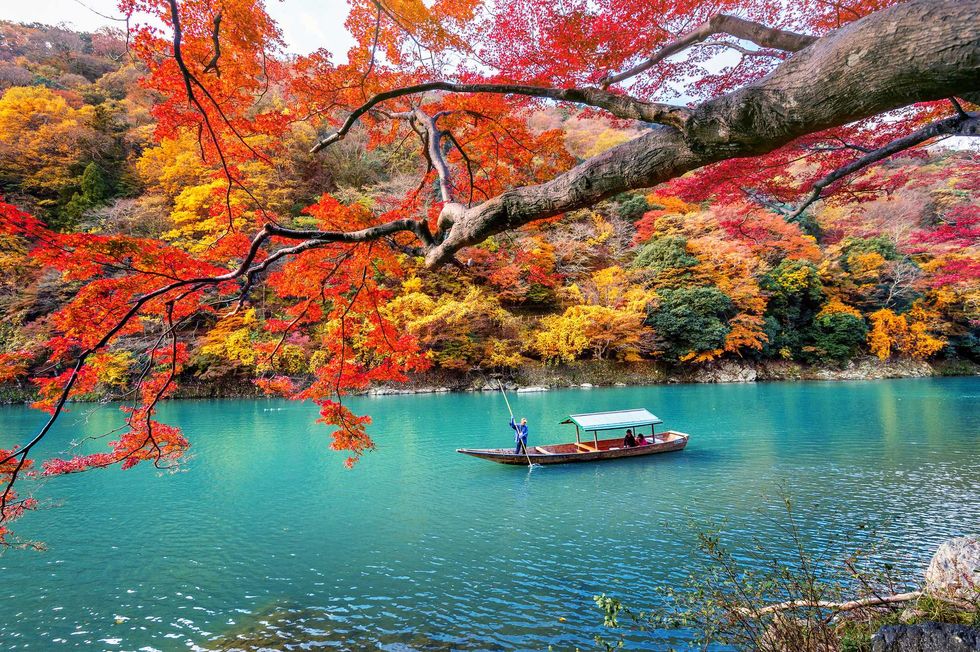 kyoto, japan