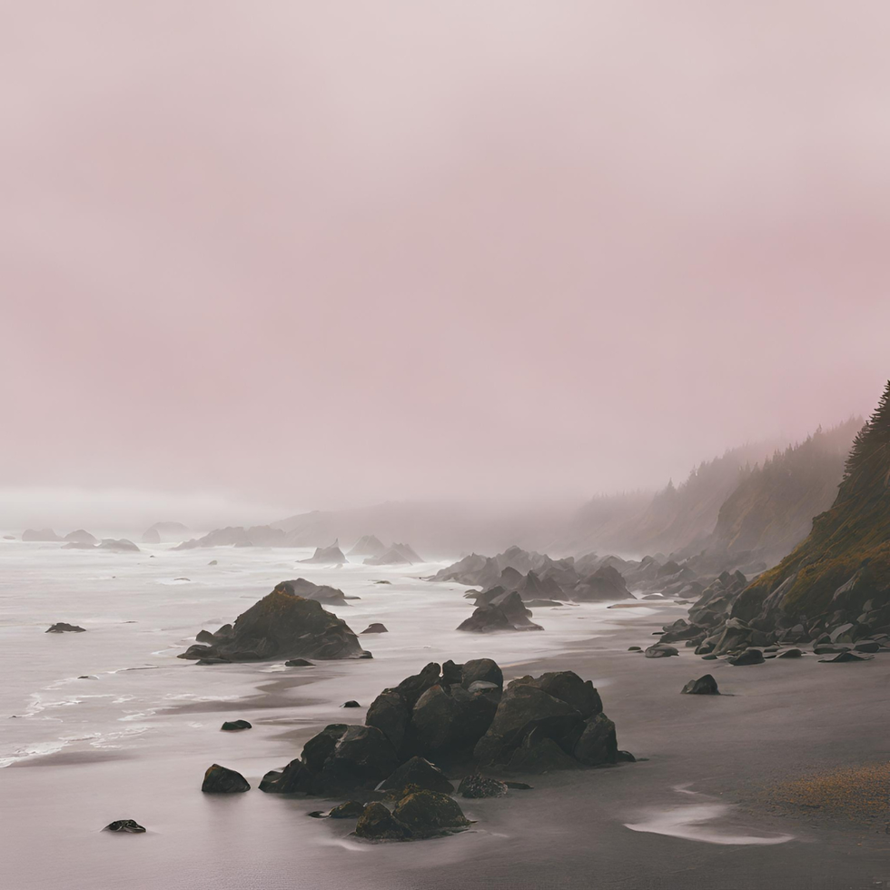 la push beach