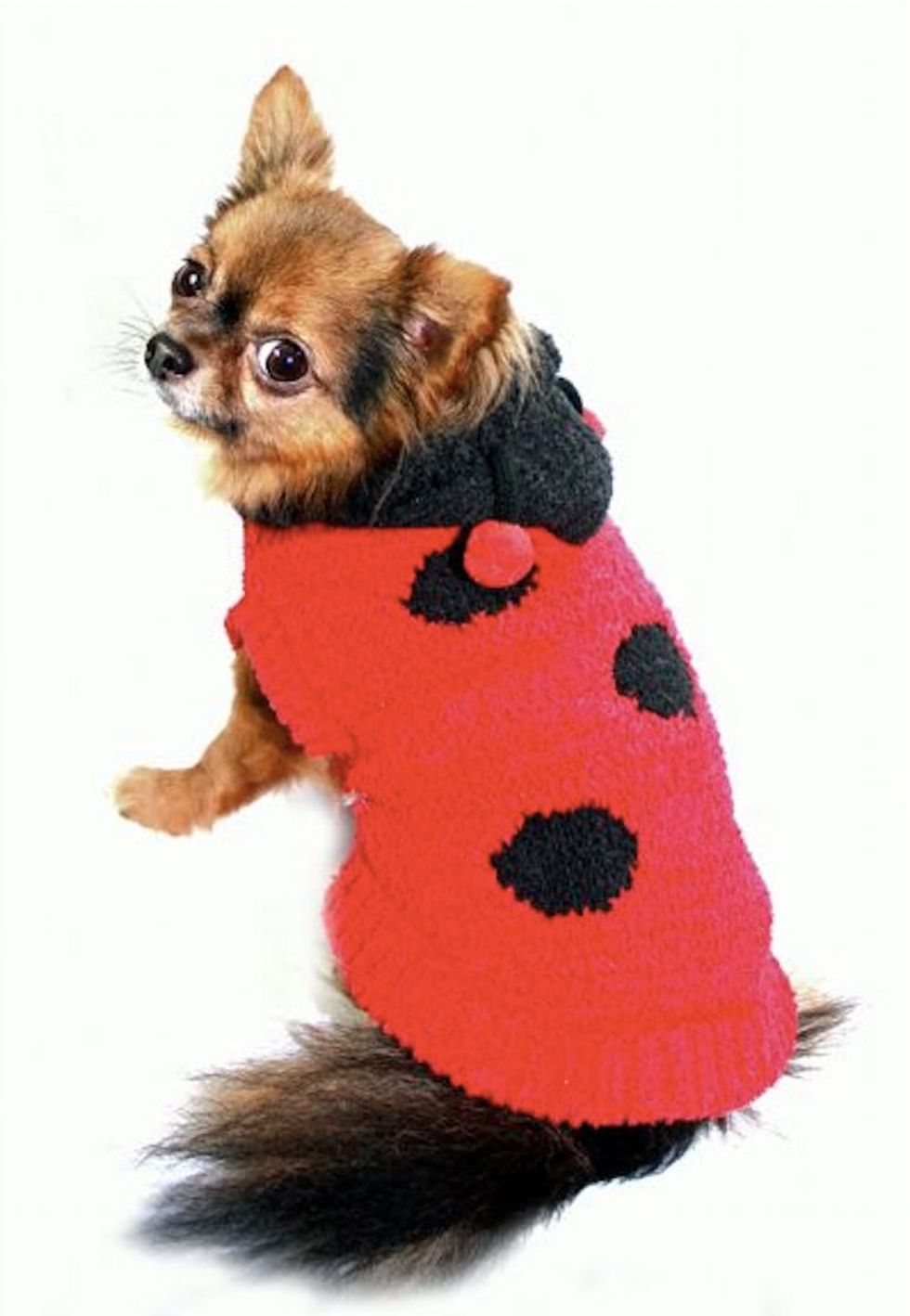 81 Dog Halloween Costume Ideas for Your Pooch - Brit + Co - Brit + Co