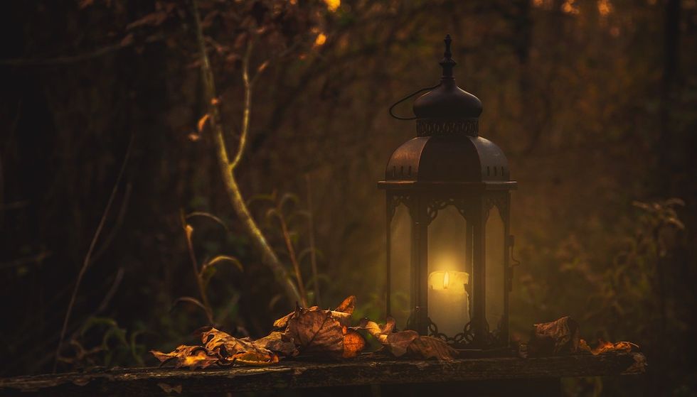 lantern in a dark forest