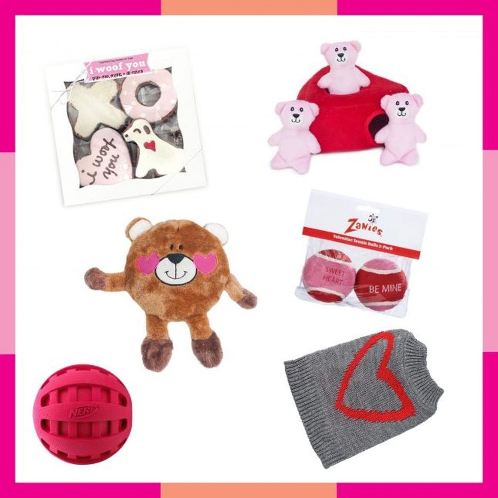 Last Minute Valentine's Day Gifts for Your Pet