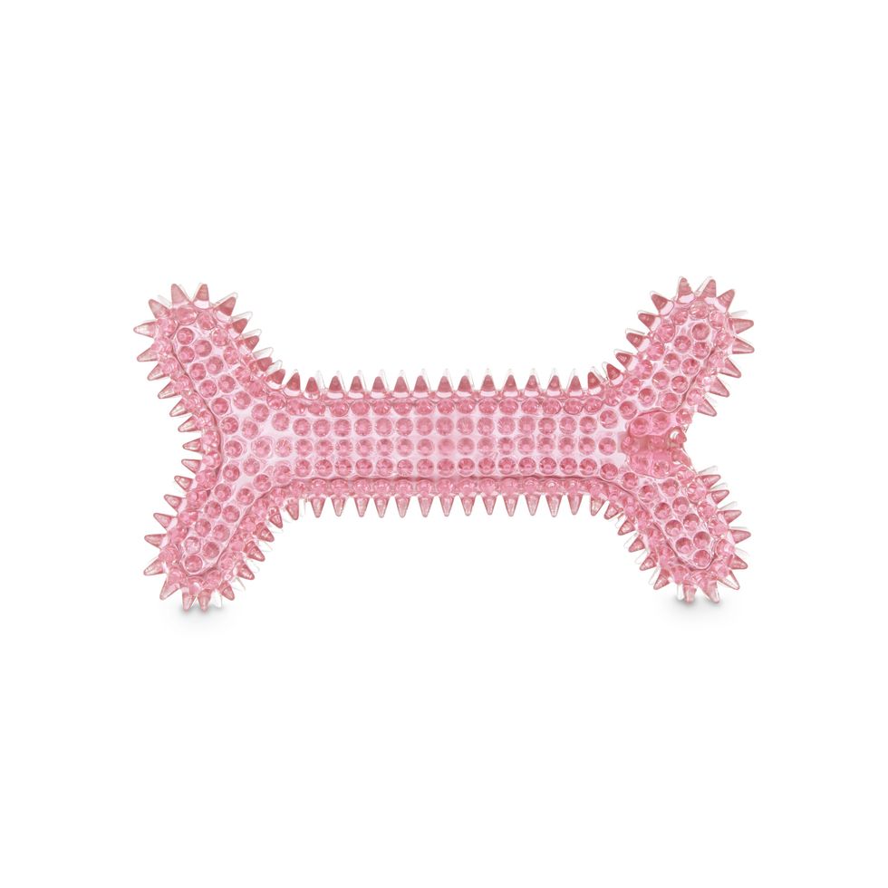 Leaps & Bounds Spiny Bone Dog Chew Toy