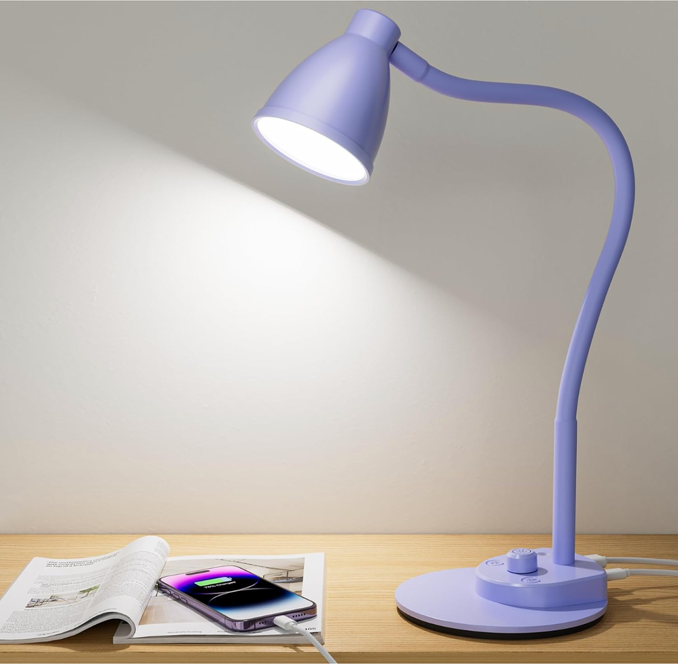 LED Desk Lamp with USB Charging Port