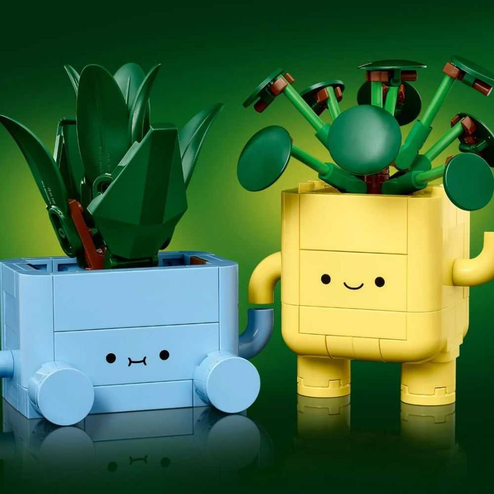 LEGO Botanicals Happy Plants
