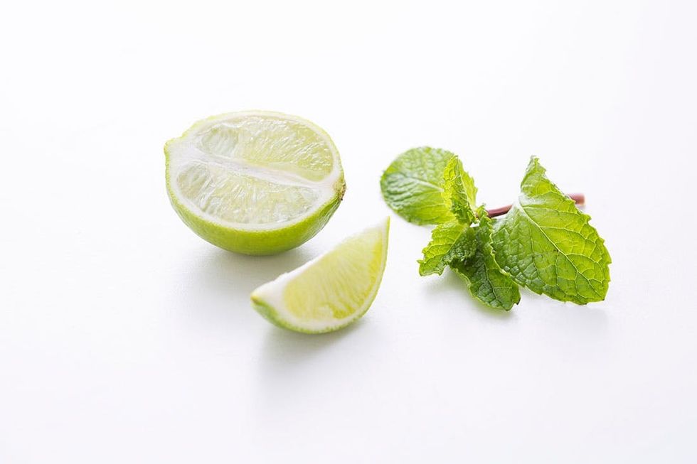 Lemon-Mint-Ingredients