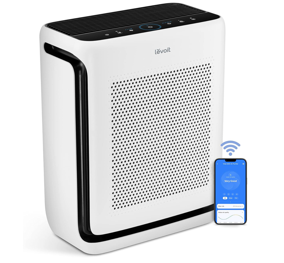 LEVOIT Air Purifiers for Home