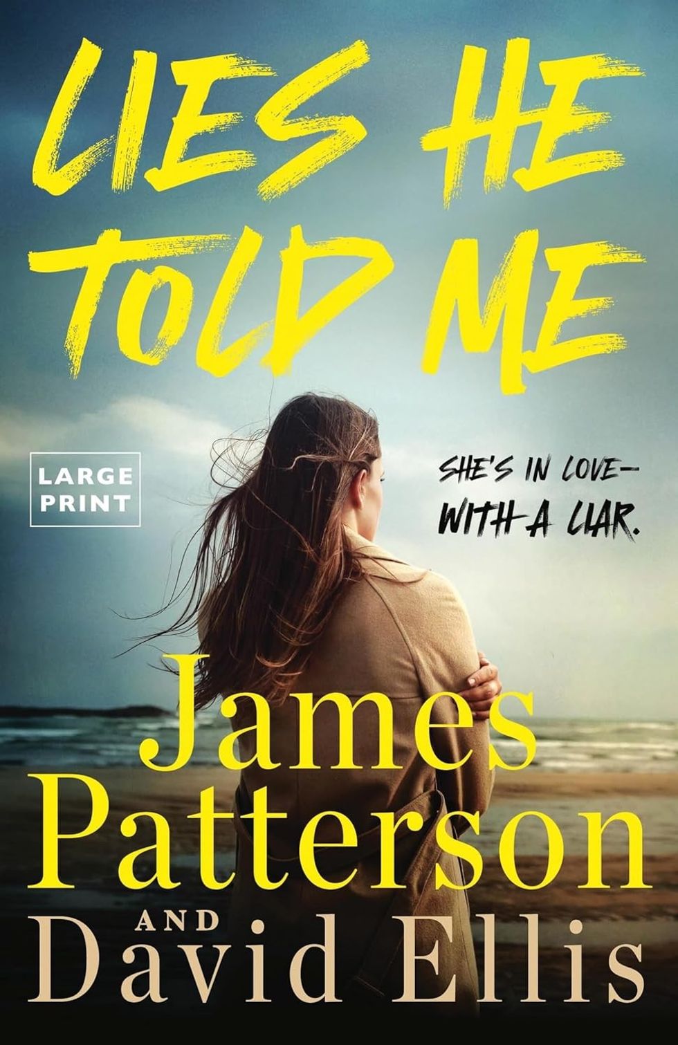 Lies He Told Me by James Patterson